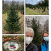Picking out our Christmas Tree by berelaxed