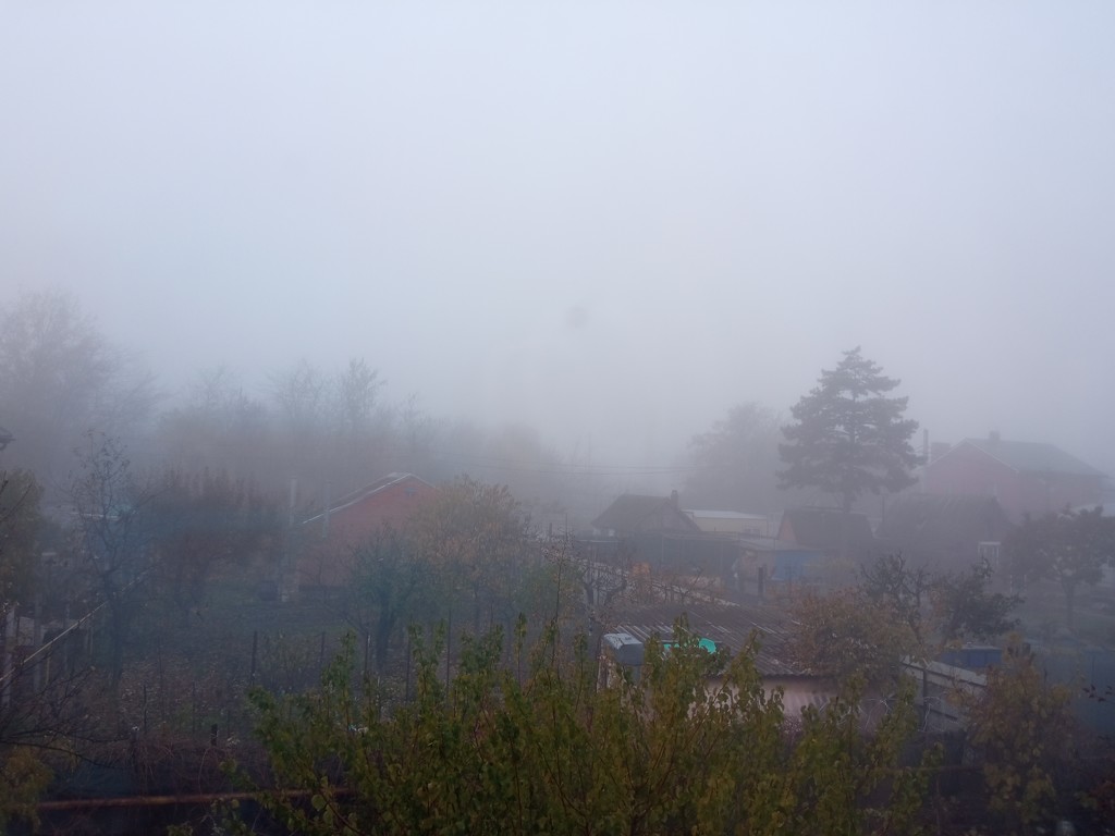 Туман  by natalytry