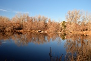 27th Nov 2020 - Red Fox Meadows pond