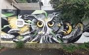 1st Sep 2020 - In My Town: The Owl.