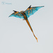 Basilisk in Flight by jawere