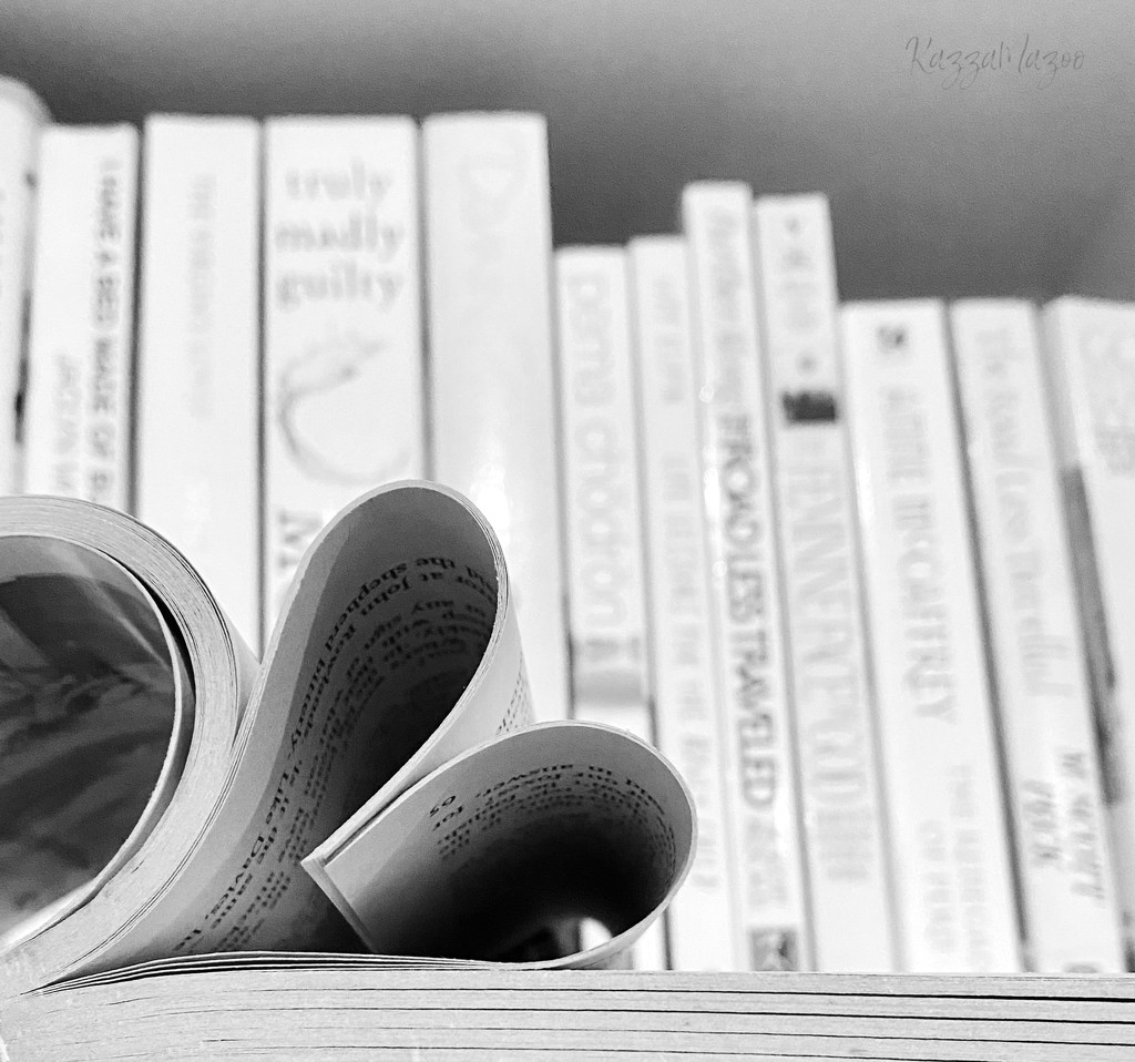 Do You Love To Read? by mazoo