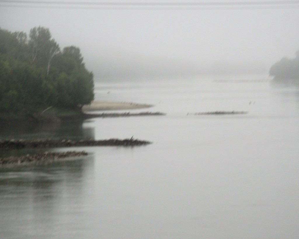 September 11: Fog on the River by daisymiller
