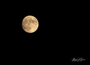 28th Nov 2020 - ~Full Moon~