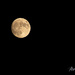 ~Full Moon~ by crowfan