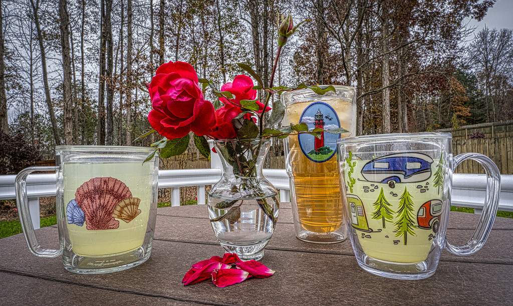 Tervis Tumblers by k9photo