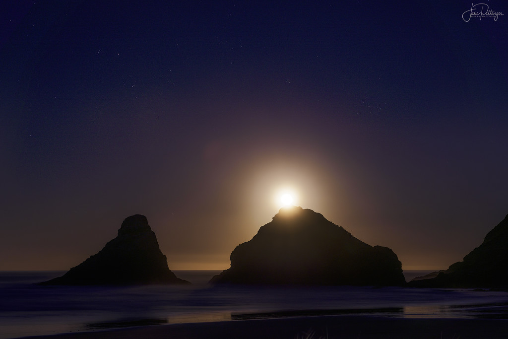 Moon Going Down Behind the Rocks At Heceta Lighthouse Park  by jgpittenger