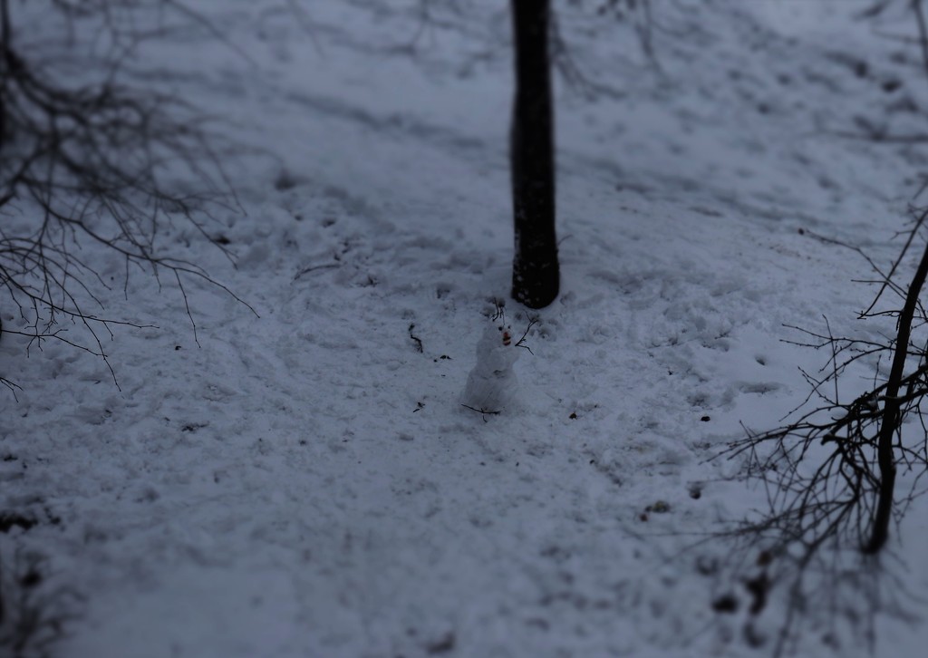 Выпал снег, снеговик. by nyngamynga