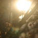Рикошет солнечных лучей от окон дома напротив. by nyngamynga