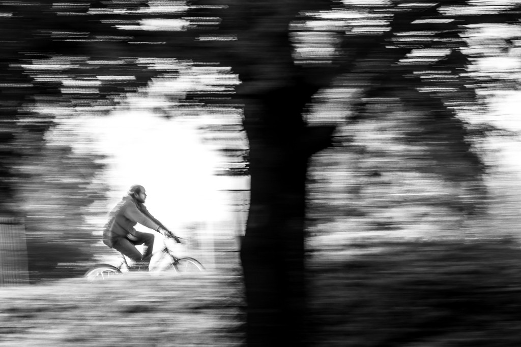 Bicycling ICM by darylo