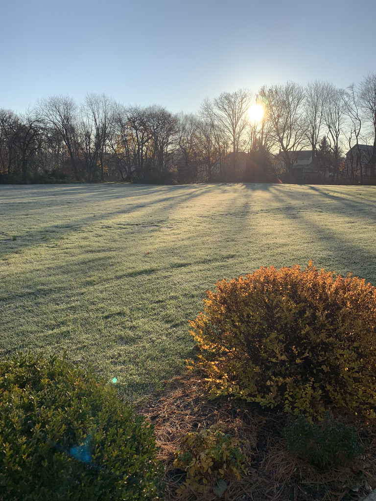 Sunbeams across the frost by kimhearn