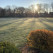 Sunbeams across the frost by kimhearn