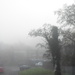 Foggy Monday by speedwell