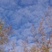 Puffer clouds... by marlboromaam