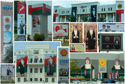 30th Nov 2020 - Sultan pictures... 