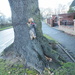 Tilly the Treecreeper by jesika2