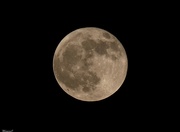 30th Nov 2020 - Full moon