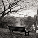Bench with a view... by vignouse