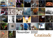 30th Nov 2020 - A month of gratitude