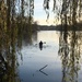 Lone canoeist by pattyblue