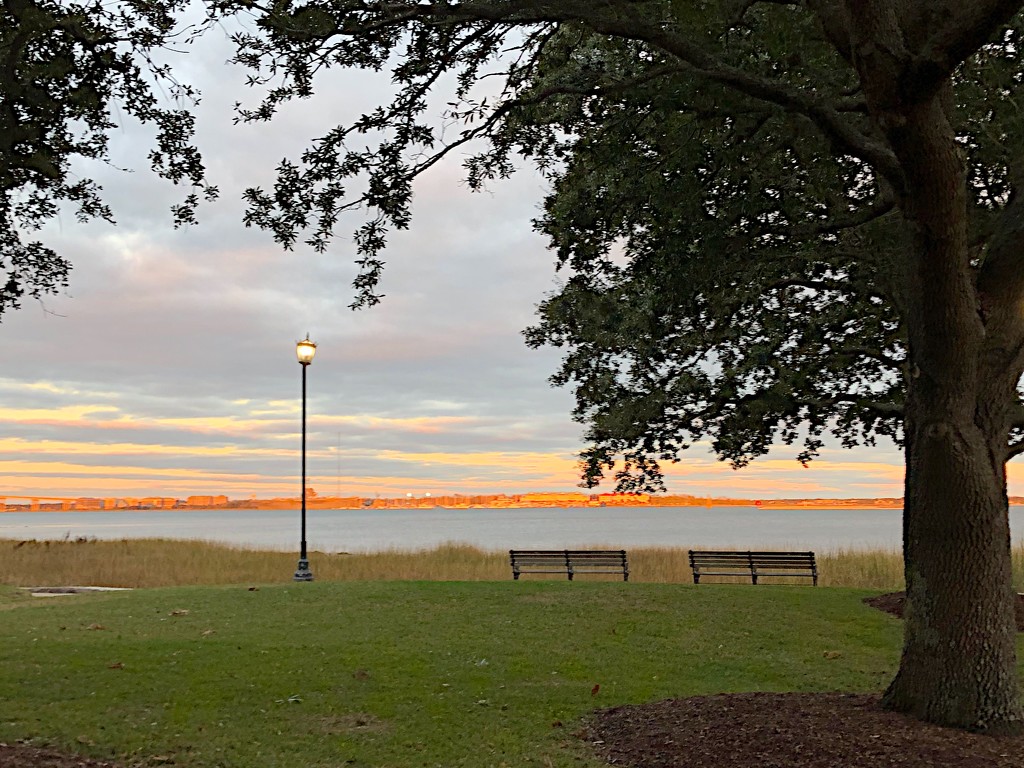 Waterfront Park, Charleston, at sunset by congaree