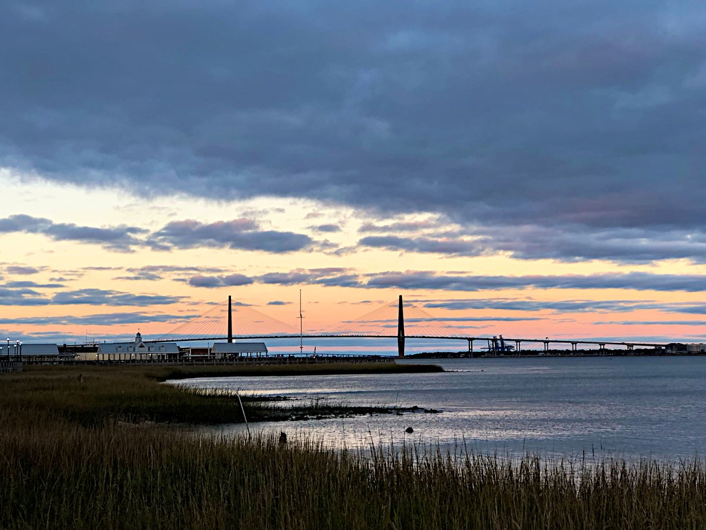 Ravenel Bridge and Charleston Harbor from Waterfront Park by congaree