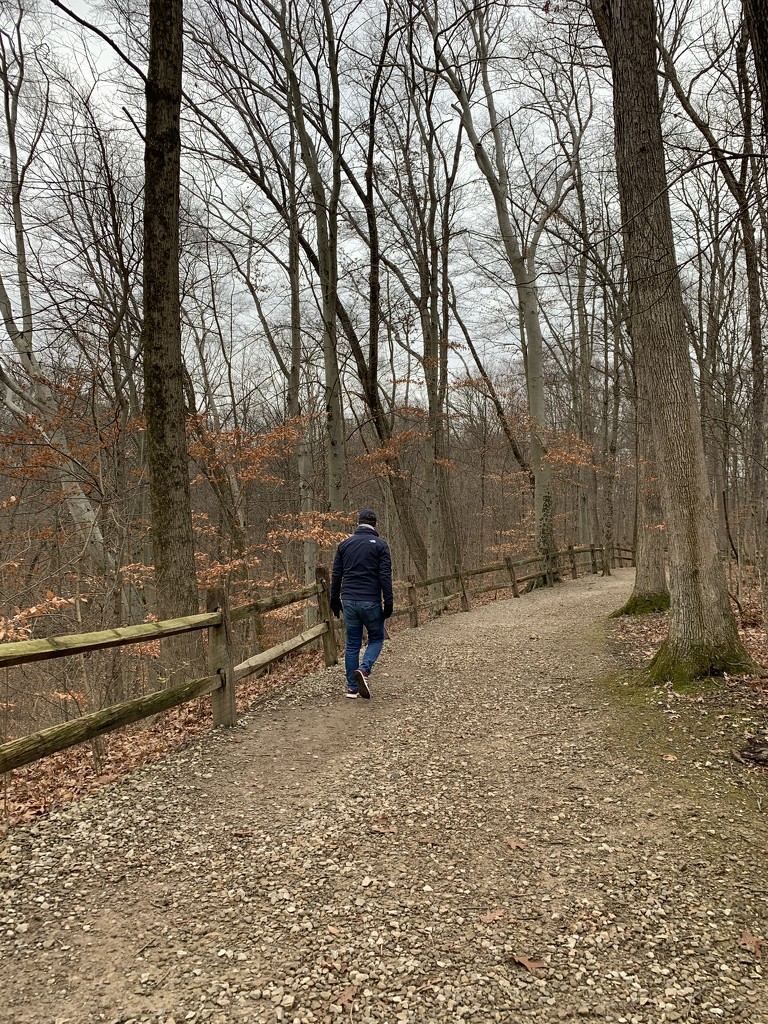 Walking in a winter woodland  by kdrinkie