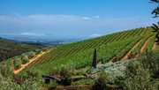 2nd Dec 2020 - The view from Tokara 