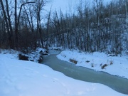1st Dec 2020 - Mill Creek 