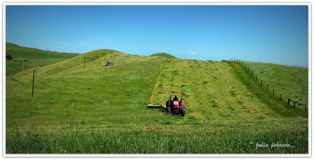 Make hay while the sunshines... by julzmaioro