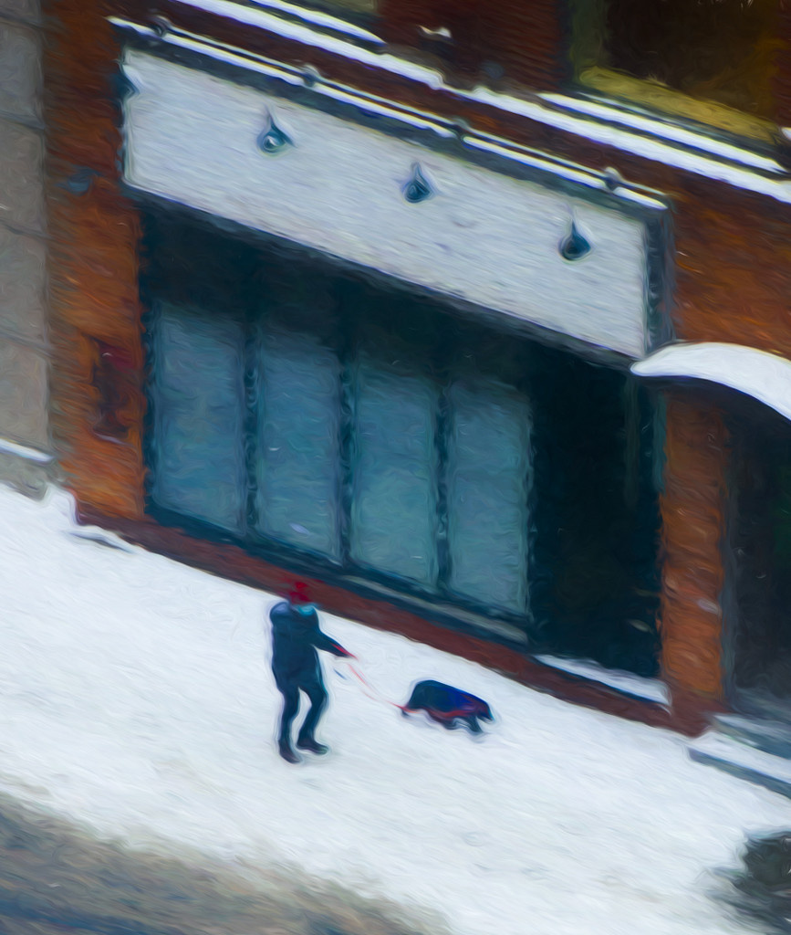 Man Walking Dog by sprphotos