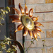 Bronze sunflower by larrysphotos