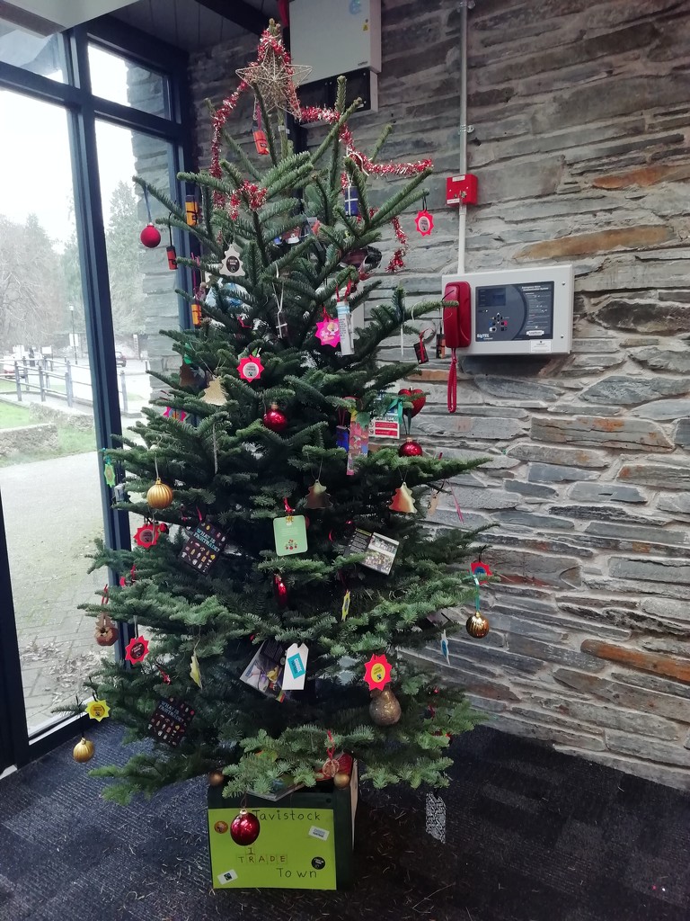 Tavistock Fairtrade Christmas Tree  by jennymdennis