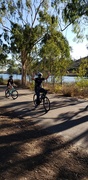 1st Dec 2020 - Quarantine Day 263: Biking at the Lake