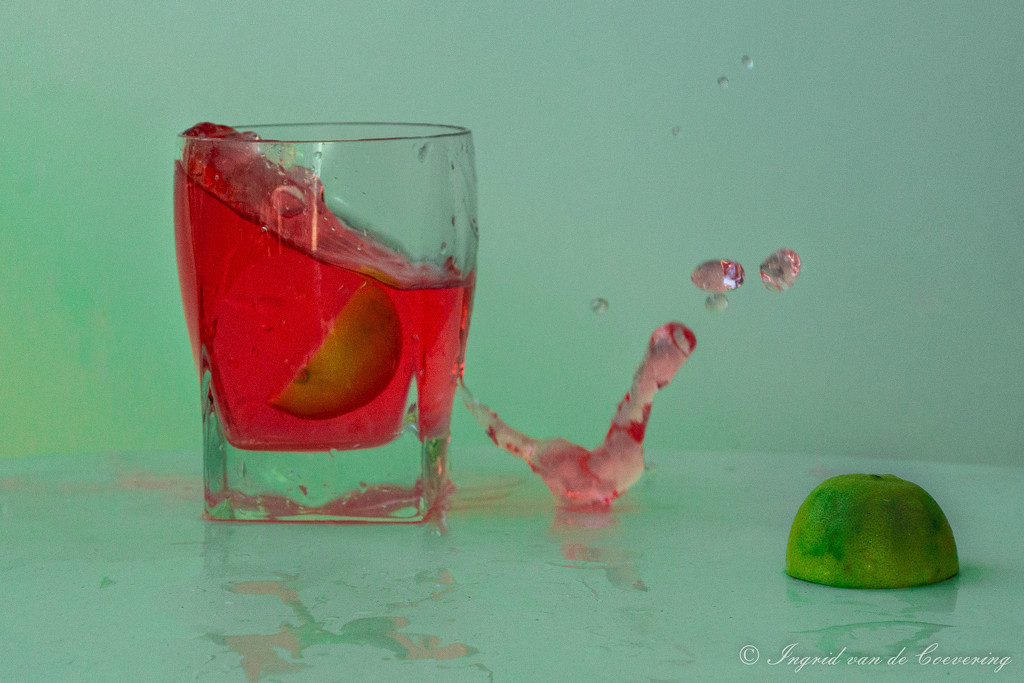 Red splash...  by ingrid01