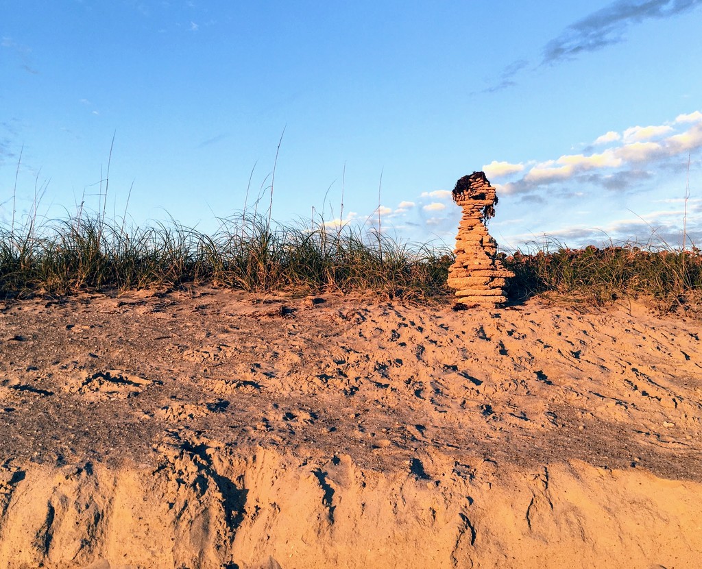 Beach Monolith  by wilkinscd