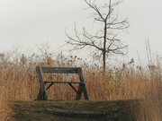 3rd Dec 2020 - Hilltop park bench