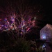 Back garden ready for Christmas by 365projectmaxine