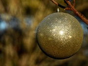 3rd Dec 2020 - outdoor ornament