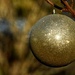 outdoor ornament by amyk