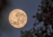 4th Dec 2020 - The Moon at 5am