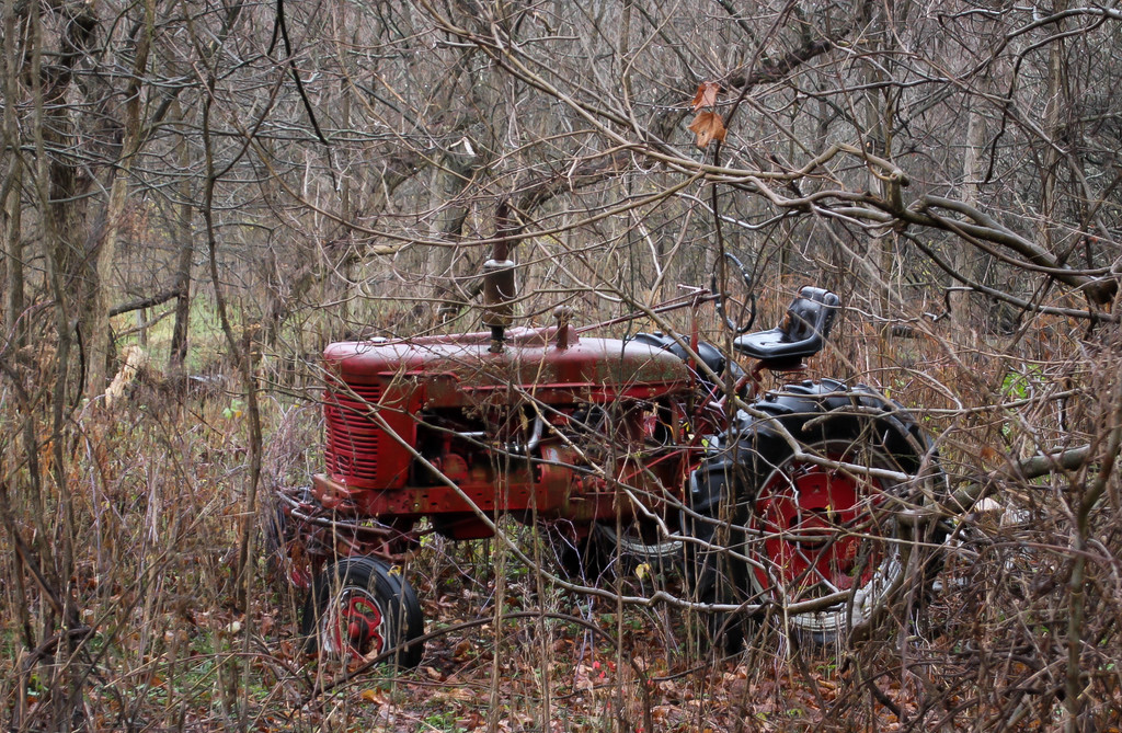 A tractor in the woods by mittens