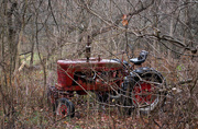 4th Dec 2020 - A tractor in the woods