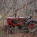 A tractor in the woods by mittens