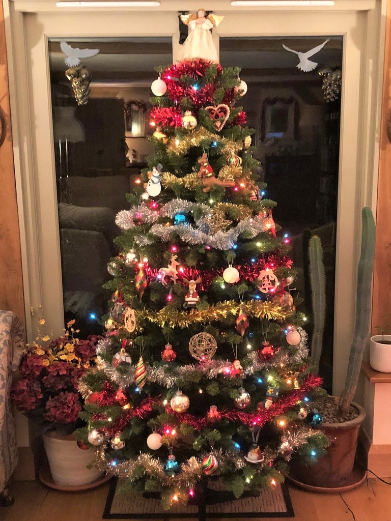 The Christmas Tree's Up by susiemc