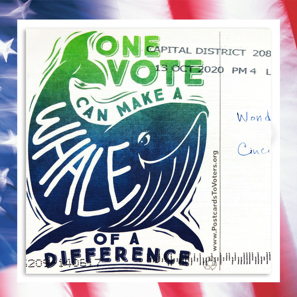 One Vote Can Make A Whale Of A Difference by yogiw