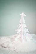 5th Dec 2020 - 🎵christmas tree oh christmas tree ! 🎵