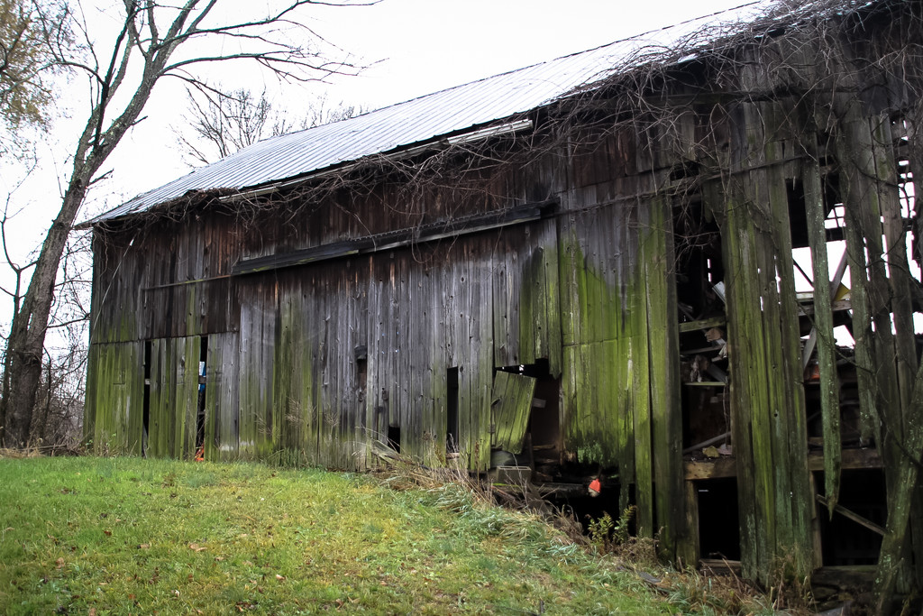What's left of a barn by mittens