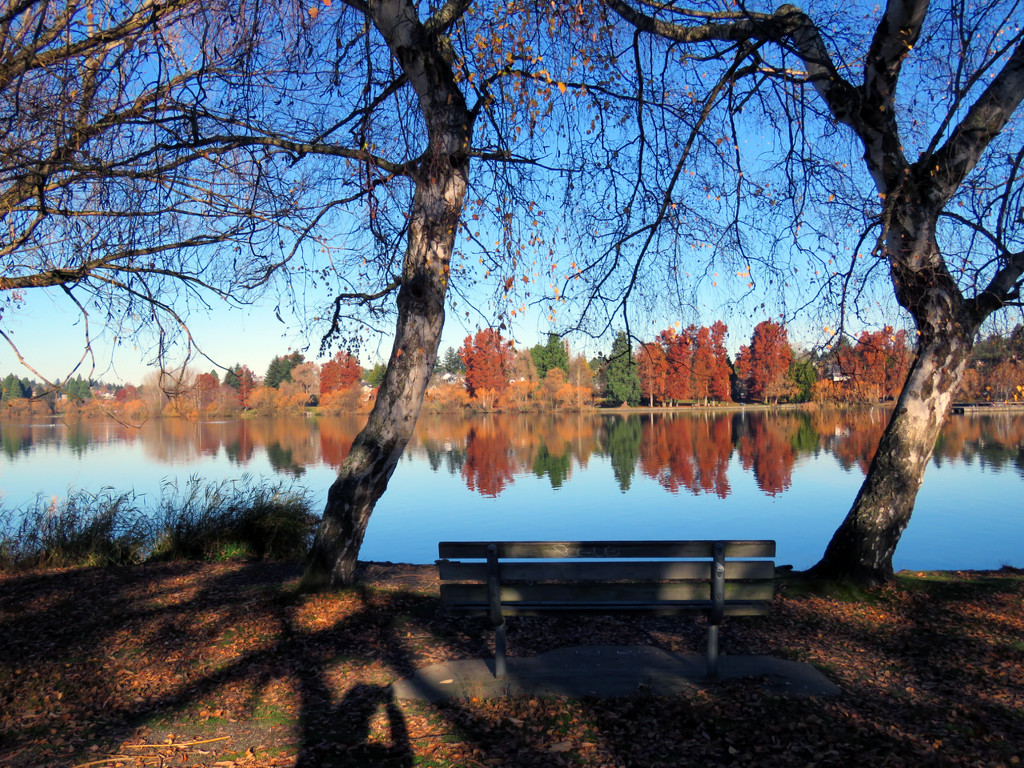 Green Lake Reflections by seattlite