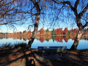 5th Dec 2020 - Green Lake Reflections